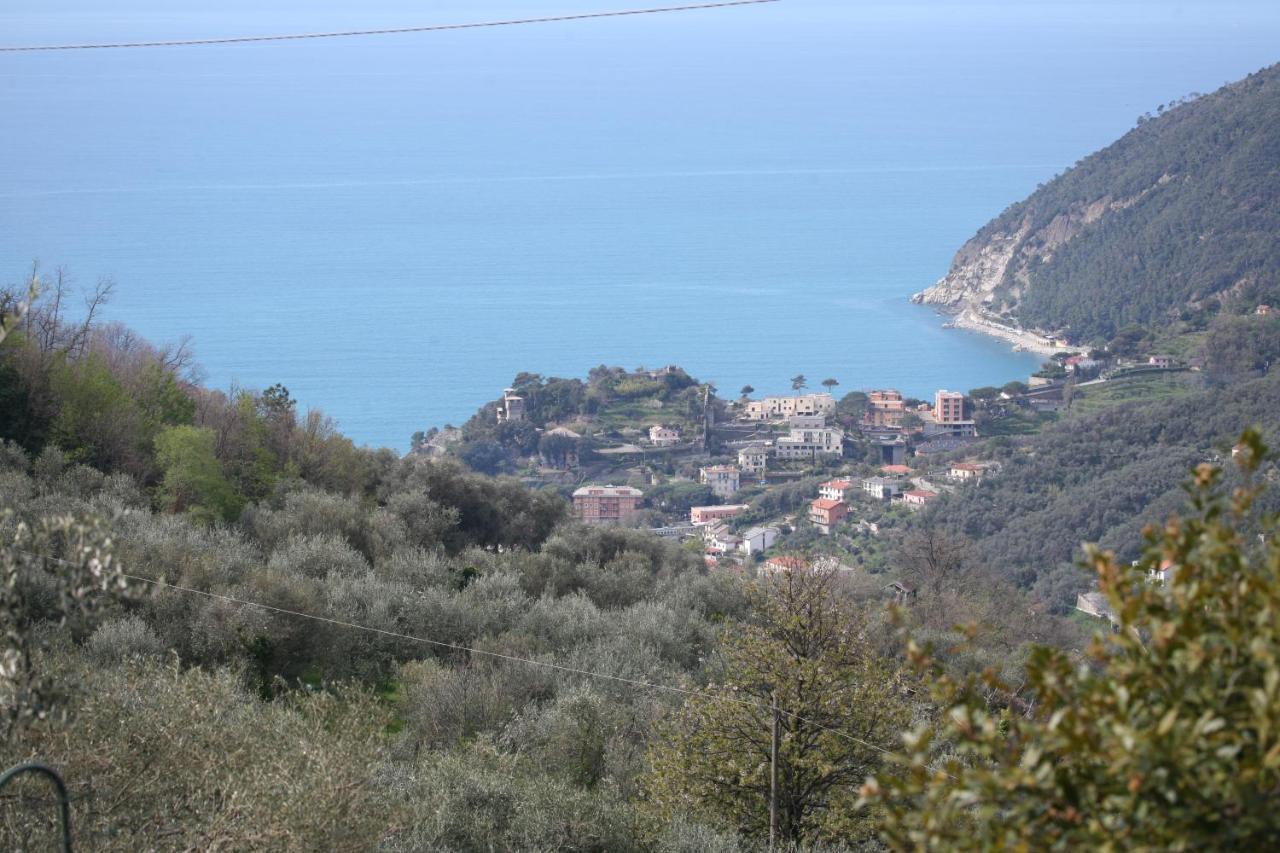 B&B Ca Di Bollo Moneglia Dış mekan fotoğraf