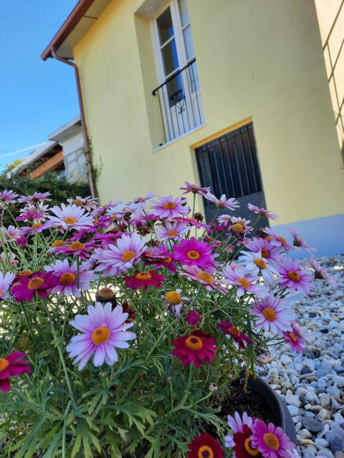 B&B Ca Di Bollo Moneglia Dış mekan fotoğraf